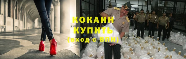 крисы Армянск