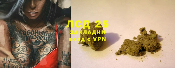 ПСИЛОЦИБИНОВЫЕ ГРИБЫ Арсеньев