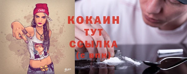 ПСИЛОЦИБИНОВЫЕ ГРИБЫ Арсеньев