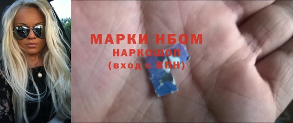 ПСИЛОЦИБИНОВЫЕ ГРИБЫ Арсеньев