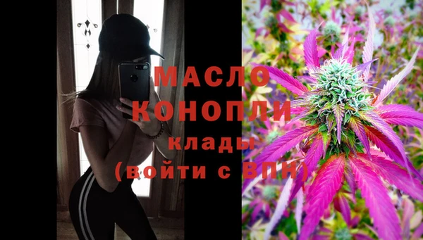 крисы Армянск
