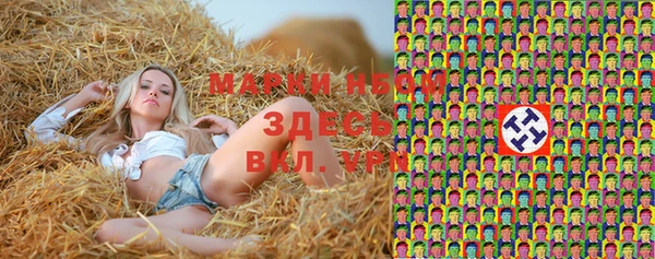крисы Армянск
