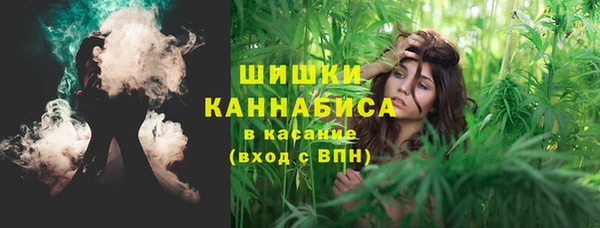 крисы Армянск