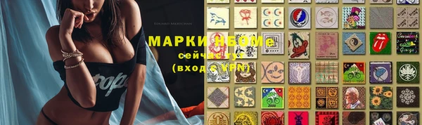 крисы Армянск